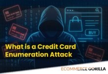 Illustration of a hacker targeting e-commerce websites using stolen credit card data.